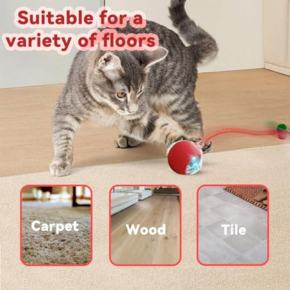 Speedy 2.0 Tail Interactive Cat Toys for Indoor Cats, Automatic Cat Toy with Elastic Mesh Tail, Electric Rolling Ball on Carpet, Chirping and Motion Activate Cat (Red) - color: Red