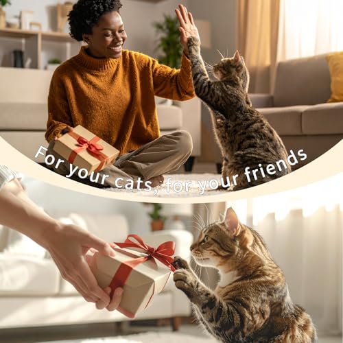 Cat Toy Burger Shape, Fun Kick and Toss Catnip Toy with Crinkle Sound, Includes Catnip & Silvervine Powder (5g+5g) + 5 Reusable Pouches, Gift for Indoor Cats - size: Short