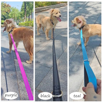 Bungee Dog Leash- 5FT Shock Absorbing & Reflective Nylon Leash | Anti-Pull Training for Small/Medium Dogs | 2cm Wide, 6 Colors (Teal) - color: Teal