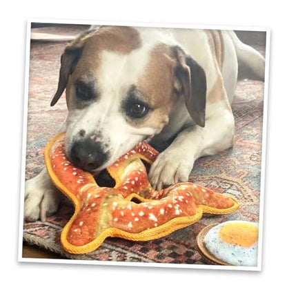 Doggijuana Cafe Combo Refillable Juananip Toy Bundle | Twisted Pretzel & Pretzel Ring | Funny Dog Toy Plush with Catnip and Refill | Interactive Chew Toy for Play - style: Twisted Pretzel & Pretzel Ring