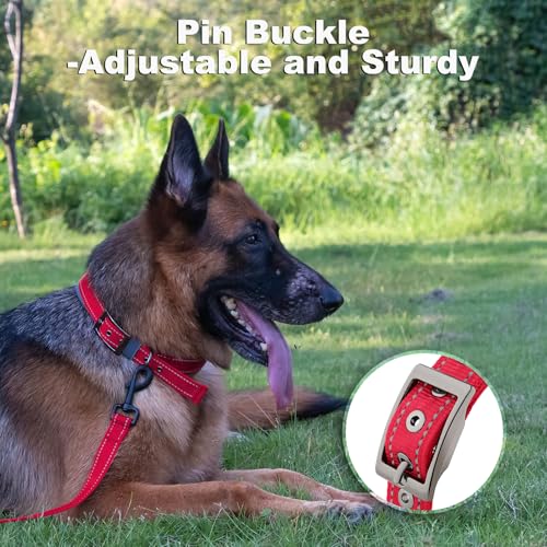 Personalized Dog Collar, Embroidered Name & Phone Number, Custom Reflective Nylon Pet Collar, Adjustable with Soft Neoprene Padding and Metal Buckle for Small Medium Large Dogs