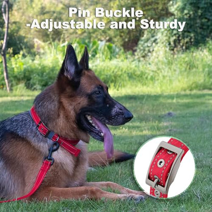 Personalized Dog Collar, Embroidered Name & Phone Number, Custom Reflective Nylon Pet Collar, Adjustable with Soft Neoprene Padding and Metal Buckle for Small Medium Large Dogs