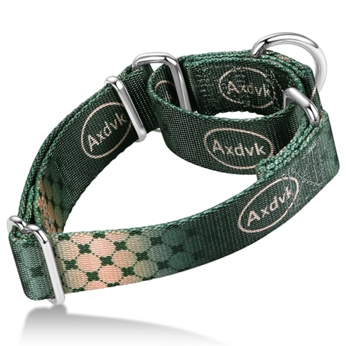 Martingale Dog Collar Colorful Gradient Fashionable - Anti-Escape Soft Durable Pets Collar for Walking Training Outdoor Daily Use -Medium, Forest Warrior - color: Forest warrior, size: Medium: 14" -21"