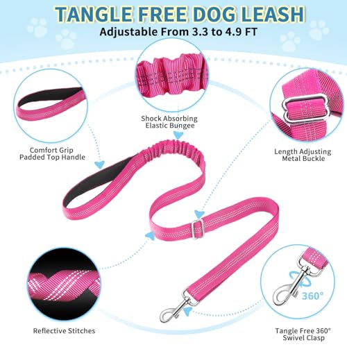 Lukovee No Pull Dog Harness and Leash Set, Soft Padded Small Dog Harness, Neck & Chest Adjustable Reflective Vest Puppy Harness with 4ft Lightweight Anti-Twist Dog Leash for Small Dogs (XS, Fuschia) - color: Fuchsia - with Stripe, size: XS ( Chest 14'' ~