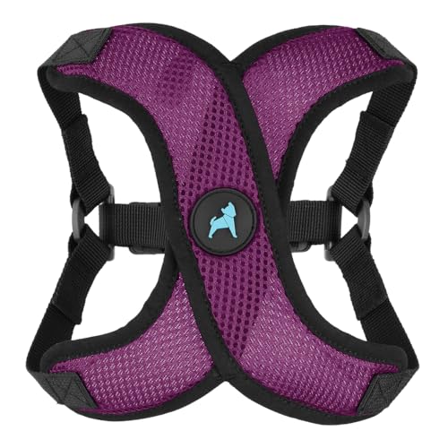 Gooby Comfort X Step in Lite Dog Harness - Choke Free, Escape Free with Light Breathable Mesh - Step in Dog Harness for Small Dogs Only - Quick Release Buckle, Metal D-Rings - Purple, X-Small - color: Purple, size: X-Small (11.8-14")