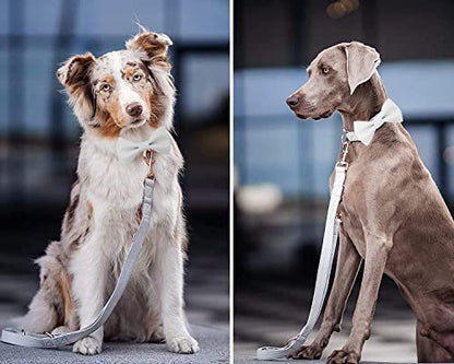 Soft Leather Bowtie Dog Collar - Adjustable Cute Bow Tie Collar [Easy to Clean] with Stylish Rose Gold Heavy Duty Metal Buckle for Small Medium Large Dogs White S - color: White, size: S(12.2"-16.9")