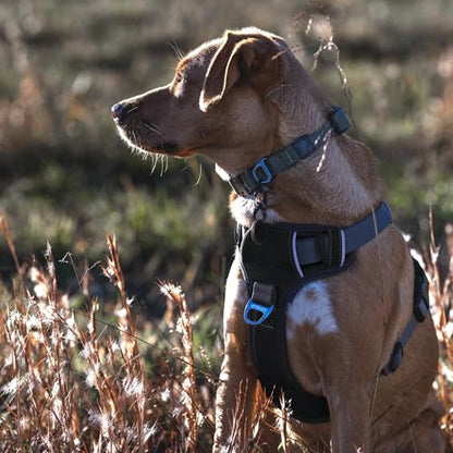 Embark Adventure Dog Harness, Reflective Trim No Pull Dog Harness Medium Sized - Military Grade Nylon, Front Clip with Gel Lined Handle. Soft & Padded Puppy Harnesses for Any Breed - color: Black, size: M