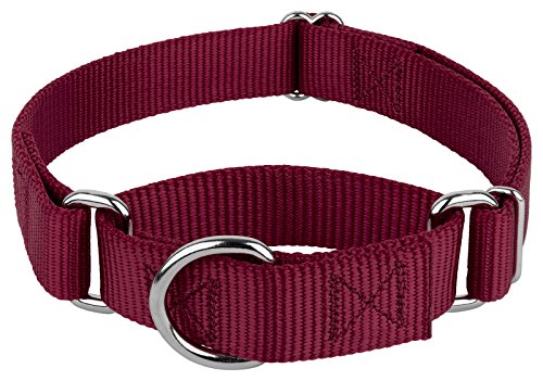 Country Brook Petz - Martingale Dog Collar - Heavy-Duty Training Collar with No Buckle - Service Dog Collar for All Pups - 20 Vibrant Colors (Burgundy, 3/8 Inch, 3XS) - color: Burgundy, size: 3XS (Pack of 1)