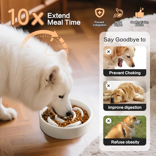 6'' Ceramic Slow Feeder Dog Bowls - Petal Shape Modern Dog Food Dish for Cats and Small Breed Dogs, Puzzle Maze Bowl to Slow Down Eating, Anti-Gulping, Dishwasher & Microwave Safe, White - color: White, size: 6 inch