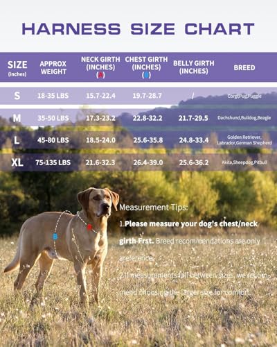 Small Dog Harness, Heavy Duty Tactical No Pull Dog Harness, No Choke, Easy On and Off Pet Vest with Molle System, Adjustable Reflective Dog Vest with Breathable Padded for Walking Hiking Training - color: Purple Camo, size: S(Neck:16-22",Chest:20-28"),18-