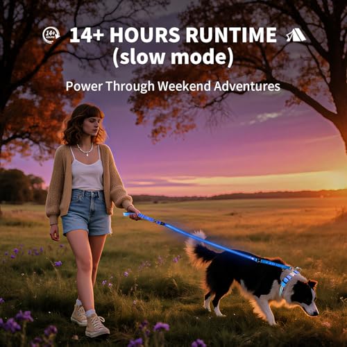 Night Walking LED Dog Leash - 6FT Reflective & Waterproof Light Up Safety Leashes for Dogs - USB Rechargeable, Blue - color: Blue(Fiber optic version)