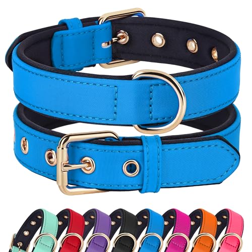 Didog Soft Padded Dog Collar for Large Dogs, Lightweight and Breathable Dog Collar with Metal Buckle, Blue, XL - color: Blue, size: XL: Fit 17-23" Neck