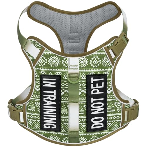 Light Dog Harness for Small Sized Dog Breeds, No Pull Pet Harness with 2 Leash Clips, Adjustable Soft Padded Dog Vest, Reflective Pet Oxford Vest, Puggle, Terriers, Beagle, Green Ethnic, Small - color: Green Ethnic, size: Small