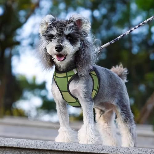 Green Checkerboard Pattern Dog Harness and Leash Set, No Pull Reflective Adjustable Soft Mesh Padded Pet Vest with Safety Buckle for Small Medium Dogs and Cats Small - color: Green Checkerboard Pattern, size: Small