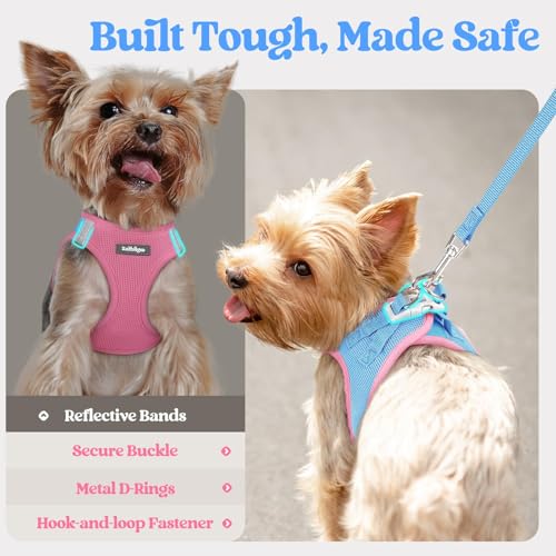 rabbitgoo Dog Harness Small Sized and Leash Set, Step in Soft Light Puppy Vest, Breathable Mesh Pet Harness, Reflective for Safe Easy Walking, Blue & Light Pink XXS - color: Blue & Light Pink, size: Xxs (chest: 12.4 - 14.2")