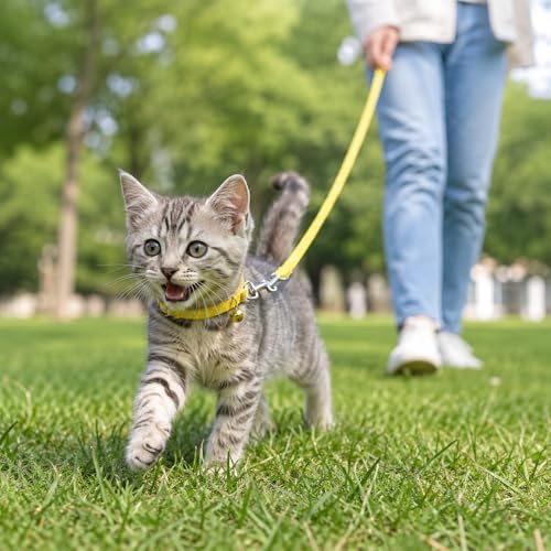 45 Pcs Puppy Collar and Leash, Colorful Adjustable Dog Collars with Marker Straps Soft Polyester Paw Pet Puppy Collar Quick Release Buckle for Small Dogs Walking Training (Detachable Bell)