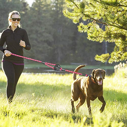 JSXD 5 FT Heavy Duty Double Handle Dog Leash with Comfortable Padded and Reflective Rope, for Small to Large Dogs (Rope-Red) - color: Rope-Red