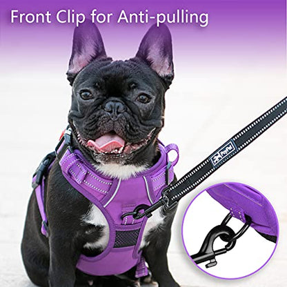 PoyPet No Pull Dog Harness, No Choke Reflective Dog Vest, Adjustable Pet Harnesses with Easy Control Padded Handle for Small Medium Large Dogs(Purple Matching Trim,XS) - color: Purple(Matching Trim), size: XS