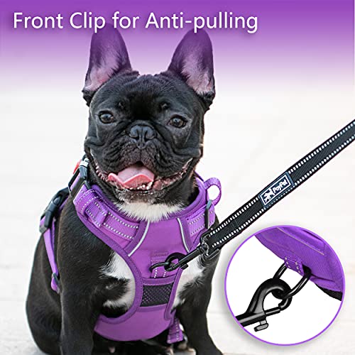 PoyPet No Pull Dog Harness, No Choke Reflective Dog Vest, Adjustable Pet Harnesses with Easy Control Padded Handle for Small Medium Large Dogs(Purple Matching Trim,XS) - color: Purple(Matching Trim), size: XS