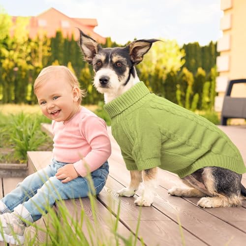 BEAUTYZOO Small Dog Sweater-Dog Sweatshirt Pullover Cable Knit Wear Classic Turtleneck Thick Cold Weather Clothes for Small Dogs, Medium Dogs, Puppies,Green Cable M (Back: 16", Chest: 21", Neck: 13") - color: Green Cable, size: M (Back: 16", Chest: 21", N