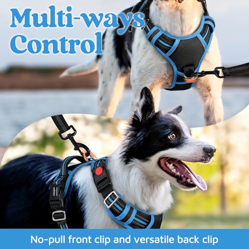 rabbitgoo Dog Harness Small Sized, No Pull Dog Vest with 3 Buckles, Adjustable Soft Padded Pet Harness with Easy Control Handle and Reflective Strips, Black & Sky Blue, S - color: Black & Sky Blue, size: Small