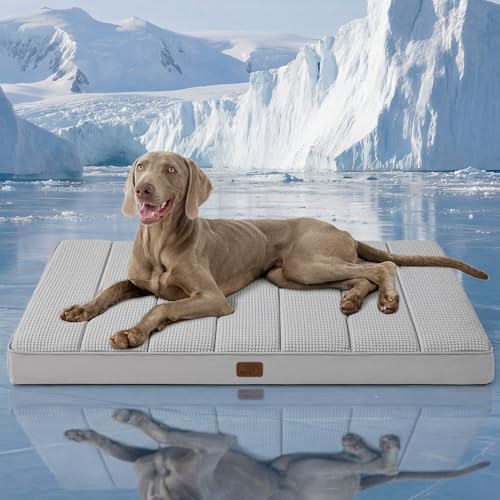 Bedsure Orthopedic Cooling Dog Beds Large Sized Dog - 44x32 Inch Extra Large Comfy Breathable Summer Bed with Removable Washable Cover, Cold Flat Egg Crate Foam Pet Mat, Suitable for Pet Up to 100 lbs - color: Cooling Grey, size: 44"L x 32"W x 3"Th