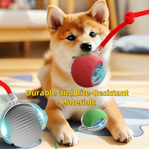 Interactive Dog Cat Toy Ball, Automatic Moving Bouncing Rolling, with Replacement Tail, Pet Smart Chase Ball Rechargeable, Enrichment Toys for Bored Indoor Adult Cats/Dogs (Green) - color: Green