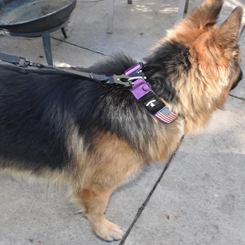 Heavy Duty Waterproof Dog Leash - Large Scissor Frog Quick Release Clasp, PVC Rubber Coated Nylon Training Lead for Large and X-Large Dogs, Odor Free, Durable, Easy to Clean, Nonslip Grip, Secure Hold - size: 10FTLG