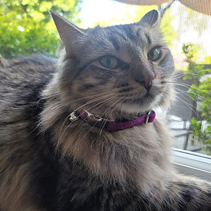 Sam & Maui Velvet Adjustable Cat Collar with Metal Silver Chrome Buckle and Bell Plum Purple C - color: Plum Purple