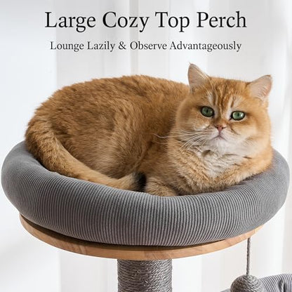 797Audio Wood Modern Cat Tree, 61.5" Tall Cat Tower with Sisal Scratching Posts, Cat Condo, Capsule and Ladder, Solid Wooden Aesthetic Multi-Level Cat Climbing Tree for Large Adult Indoor Cats-Gray - color: 62 Inch-Gray