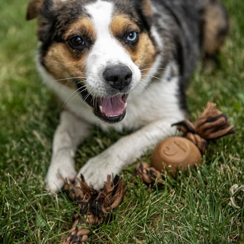 Carhartt Pet Training Tools, Rugged Dog Tool for Tug and Fetch, Rubber Ball Rope Pull (Carhartt Brown/Dark Brown) - style: Rubber Ball Dog Rope Pull