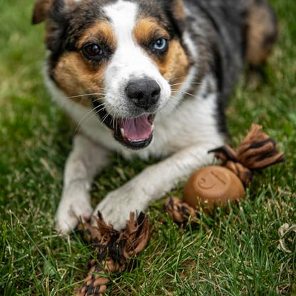 Carhartt Pet Training Tools, Rugged Dog Tool for Tug and Fetch, Rubber Ball Rope Pull (Carhartt Brown/Dark Brown) - style: Rubber Ball Dog Rope Pull