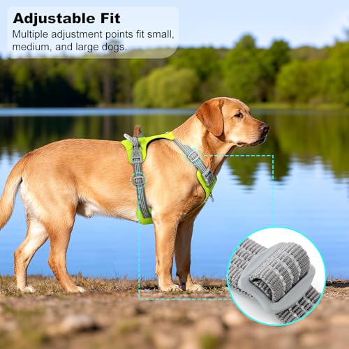No Pull Dog Harness – Adjustable Reflective Nylon Vest for Small Medium Large Dogs, Escape Proof Training Harness with Leather Control Handle, Lightweight Aluminum Hardware (Green, S) - color: Green, size: S