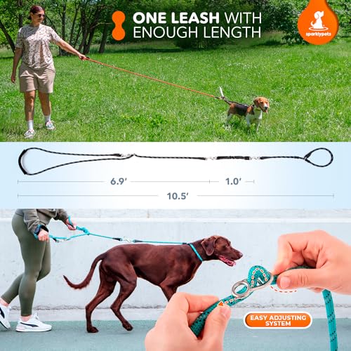 SparklyPets - Bungee Rope Handsfree Leash for 1 Dog - Demovable Slip Lead - Waist or Hip Belt Leash for Dog Walking, Running, Carnicross - Medium & Large Breeds - color: Black