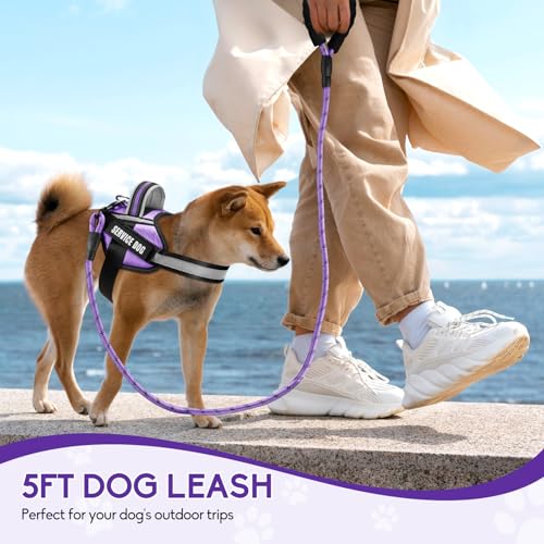Service Dog Harness and Leash Set, XS, Purple, with 10 Patches, Reflective, for Small Dogs - color: Purple, size: XS