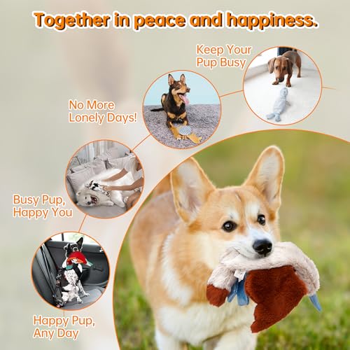 Nocciola Squeaky Dog Toys, 5-Pack Crinkle Plush Toys, No Stuffing Dog Toys for Small Medium Large Dogs, Boredom Relief - style: 5 pcs Crinkle Plush Dog Toy