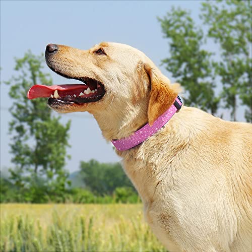 TDTOK Glitter Dog Collar, Comfy and Durable Bling Pet Collar for Small Medium Large Dogs with Eco-Friendly Plastic Buckle and Adjustable Stylish Nylon Material Fit Necks： 9.8-22.4'' - color: Pink, size: S
