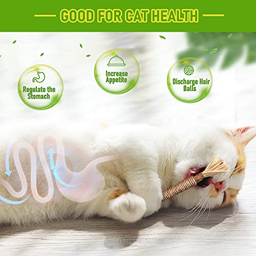 GBSYU 1 Pack Silvervine Cat Toy, Silvervines Sticks Cat Toys for Indoor Cats, Cat & Kitten Chew Toys for Aggressive Chewers, Cat Dental Toy for Kitten Teeth Cleaning, Matatabi Silvervine for Cats - size: 1PCS