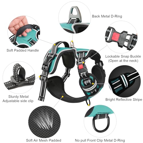 No Pull Dog Harness, Release at Neck Reflective 3 Snap Buckles Adjustable No Choke Pet Vest with Front & Back 2 Leash Clips, Soft Padded Control Training Handle for Small Medium Large Dogs - color: Lock-Turquoise, size: Medium (Pack of 1)