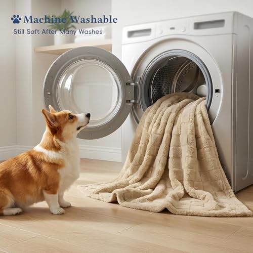 David's Home Large Dog Blankets Washable Pet Bed Cover, Soft Fluffy Fuzzy Cat Puppy Blanket with Premium 300GSM Fleece for Pet Kitten Doggy, Pale Khaki, 50x60IN - color: Pale Khaki, size: Throw