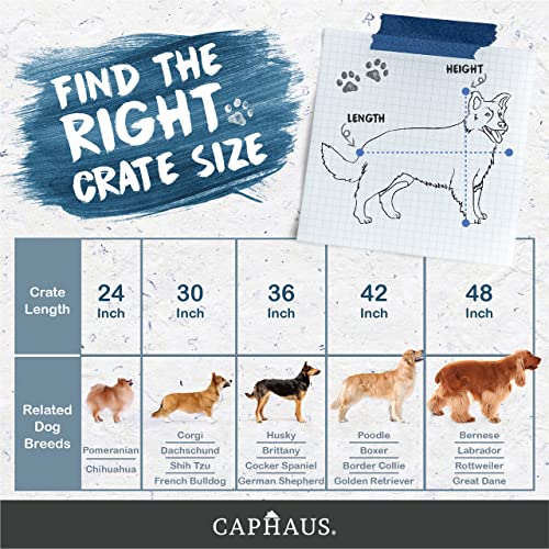 CAPHAUS Foldable Dog Crate Wire Metal Dog Kennel w/Divider Panel, Leak-Proof Pan & Protecting Feet, Single & Double Door, Small, Medium & Large Dog Crate Indoor Wire Dog Cage, 30” w/Classic Lock - size: 30.0"L x 18.9"W x 20.9"H