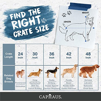CAPHAUS Foldable Dog Crate Wire Metal Dog Kennel w/Divider Panel, Leak-Proof Pan & Protecting Feet, Single & Double Door, Small, Medium & Large Dog Crate Indoor Wire Dog Cage, 30” w/Classic Lock - size: 30.0"L x 18.9"W x 20.9"H