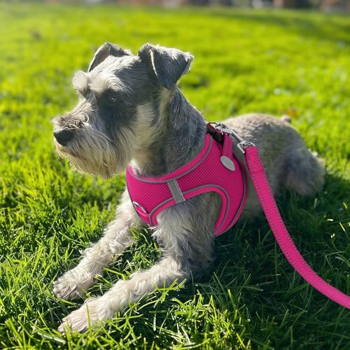 Joytale Small Dog Harness, Breathable Mesh Step-in Vest, Reflective Soft Padded Harnesses for Cats and Puppies Dogs, Hot Pink, XXXS - color: HotPink, size: XXXS--Chest: 10.5-12''