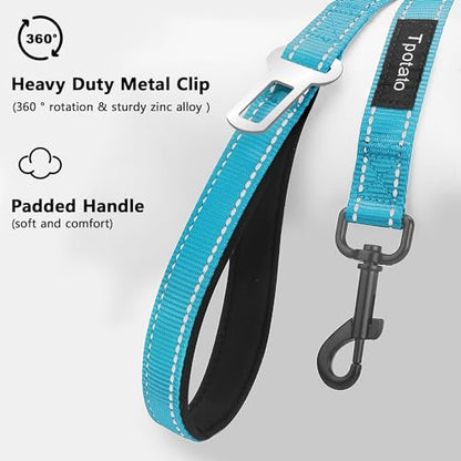 6 Foot Blue Dog Leashes for Large Medium and Small Breed Dogs That Pull,Reflective Nylon Heavy Duty Dog Leash with 2 Comfortable Padded Traffic Handles and Car Seat Belt for Walking and Training - color: Sky blue