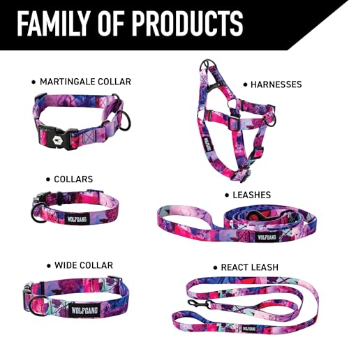 Wolfgang Heavy Duty Martingale Dog Collar with Quick Release Nylon Buckle for Walking & Training, Daydream Print, Large - color: DayDream Print, size: Large (1 Inch x 18-22 Inch)