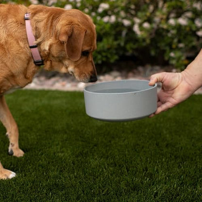 Loving Pets - Dolce Bamboo - Eco-Friendly Pet Bowls & Dishes for Dog, Cats, Puppy Food and Water Dish -Sustainable and Dishwasher Safe, Made with Real Bamboo (Medium, Slate-Grey) - color: Slate Grey, size: Medium Dish