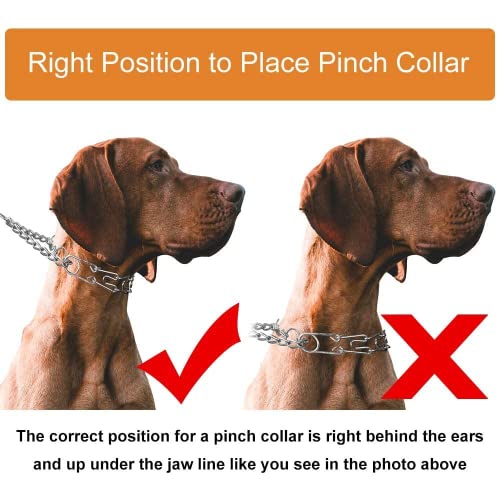 Dog Prong Collar, Adjustable Dog Training Collar with Quick Release Buckle for Small Medium Large Dogs (Silver, L/3.5mm Neck: 18"-20'' Weight:70 lbs) - color: Silver, size: L/3.5mm (Neck: 18"-20" Weight: 70 lbs)