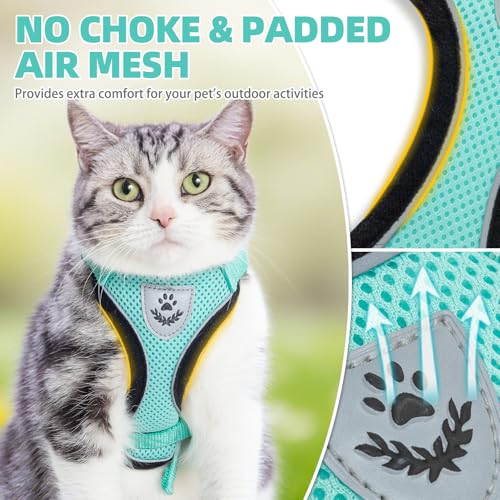 PUPTECK Cat Harness and Leash Set Escape Proof Reflective Cat Walking Harness Adjustable Soft Breathable Mesh Vest for Small Pets, Aquamarine, S - color: Aquamarine, size: S (NECK 9.5"-11", CHEST 13"-16")