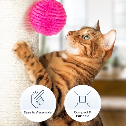 17-Inch Cat Scratching Post - Sisal Rope and Carpet Scratching Pole with Bright Pink Hanging Ball Toy for Adult Cats and Kittens by PETMAKER (Gray) - color: Gray