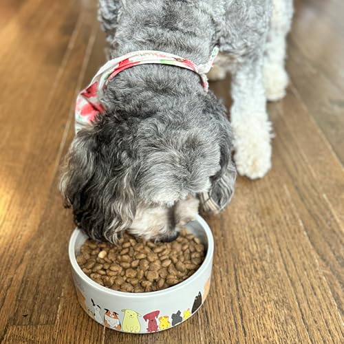 SPOT Best Friends Pet Food Dish - Food or Water Ceramic Bowl for Pets, Ideal for Medium & Large Dogs, Dishwasher Safe, 5 Cups (40oz) Capacity - 7in, Light Grey - size: 7 inch